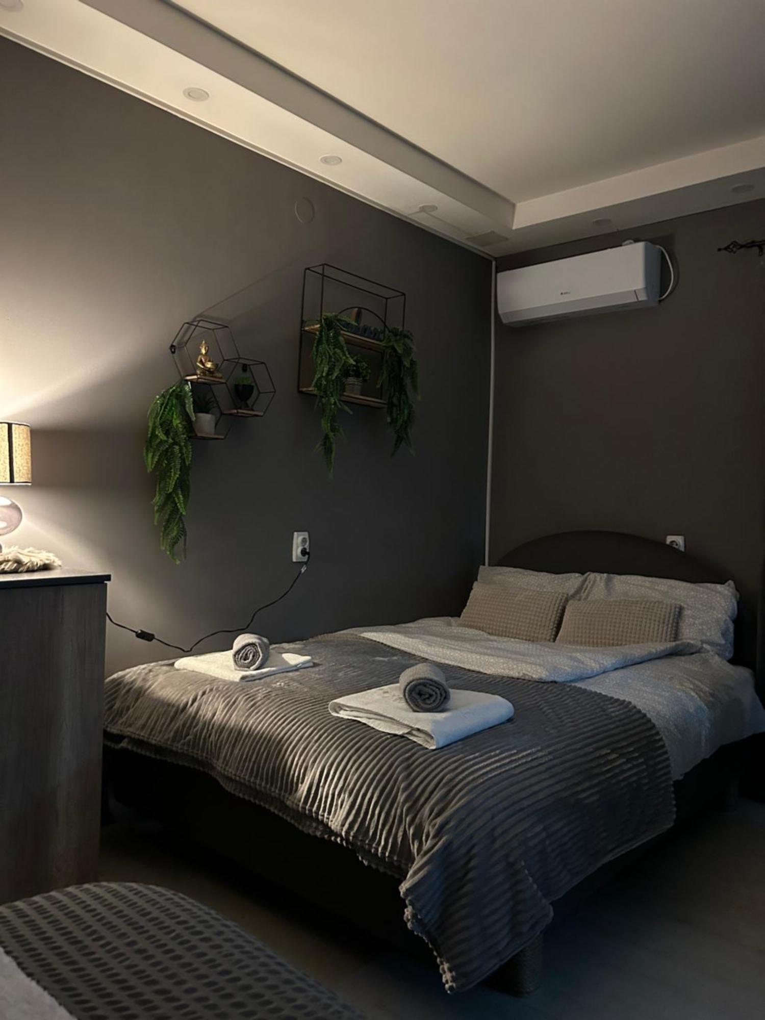 Beta House Apartments Zaječar Εξωτερικό φωτογραφία